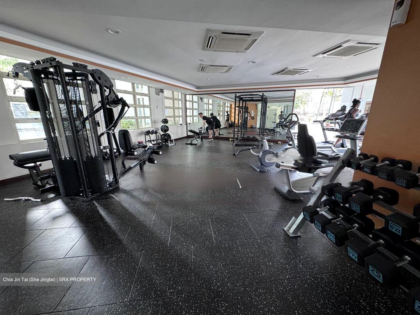 Trellis Towers (D12), Condominium #458569641